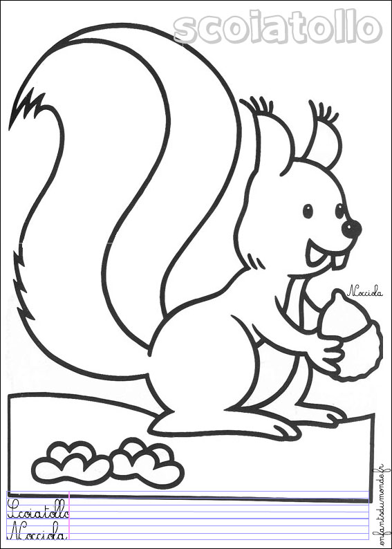 coloriage ecureuil 1